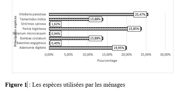 tableau 1