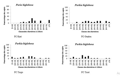 figure 2.3