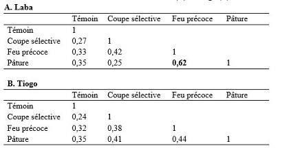 tableau 4