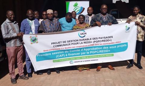 Gestion Durable des Paysages Communaux pour la REDD+ (PGPC/REDD+) : 499 sous-projets validés pour 3 milliards FCFA