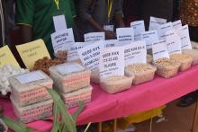 15e Foire aux semences de l'INERA : La recherche agricole expose ses meilleurs résultats
